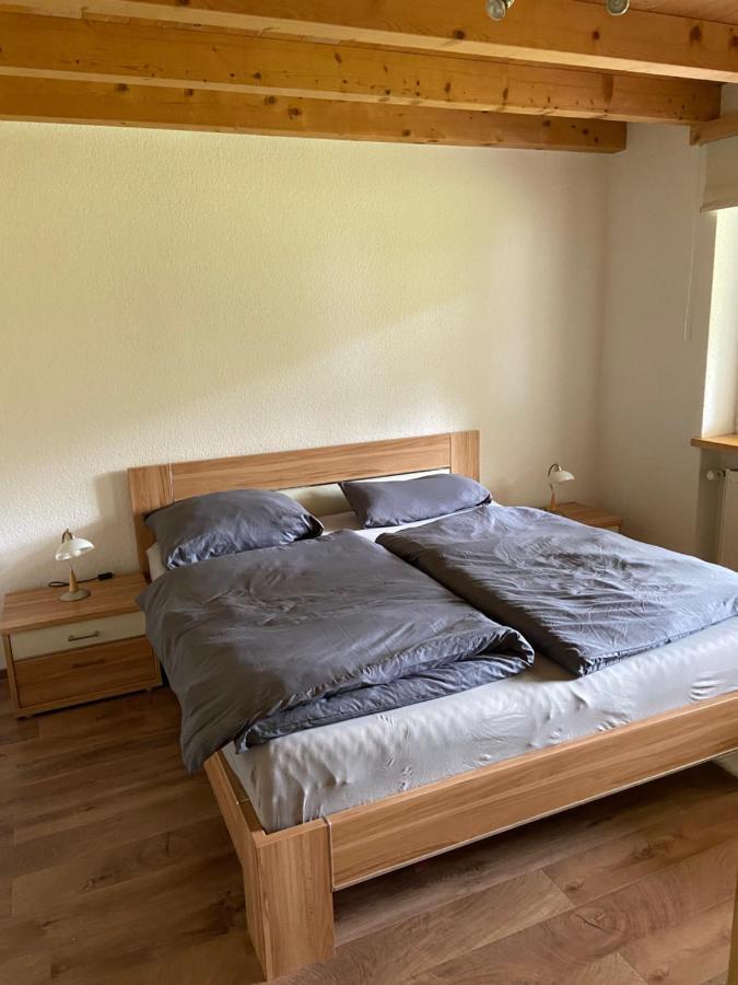 Ferienwohnung Im Herzen Graubuendens Surava 外观 照片